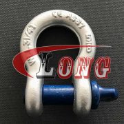 G80 Screw Pin Anchor Shackle G-209 U.S. Type China manufacturer